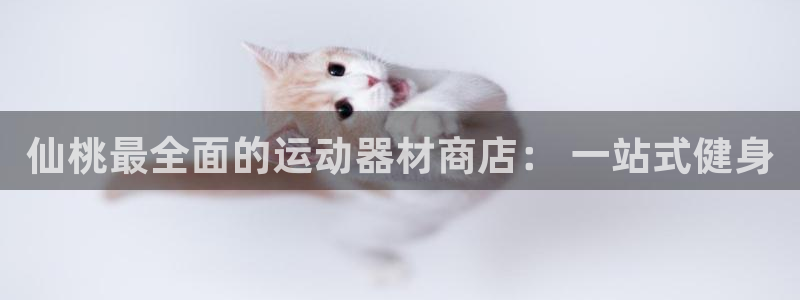 意昂3集团E.ON:仙桃最全面的运动器材商店: 一站式健身